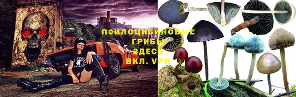гидра Арсеньев
