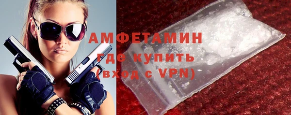 гидра Арсеньев