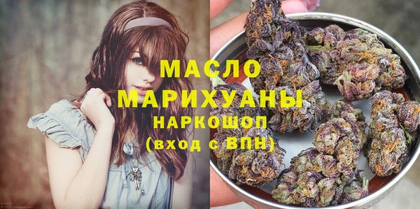 гидра Арсеньев
