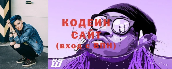гидра Арсеньев